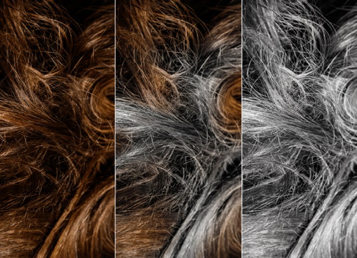 Brown hair that gradually turns gray