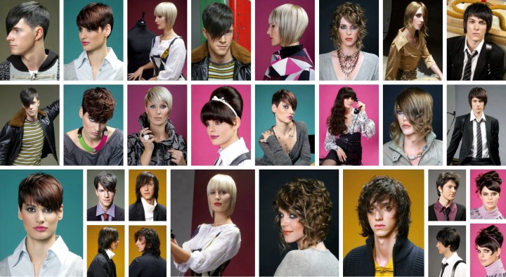 Hair fashion