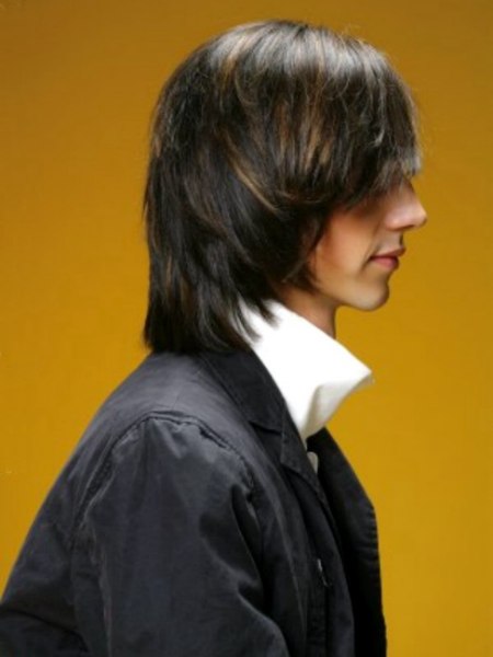 Long men's hairstyle with highlights - Side view
