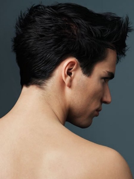 Back view of a short men's haircut
