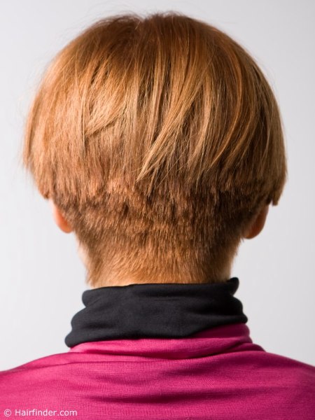 Back view of a haircut with a short back and exposed earlobes