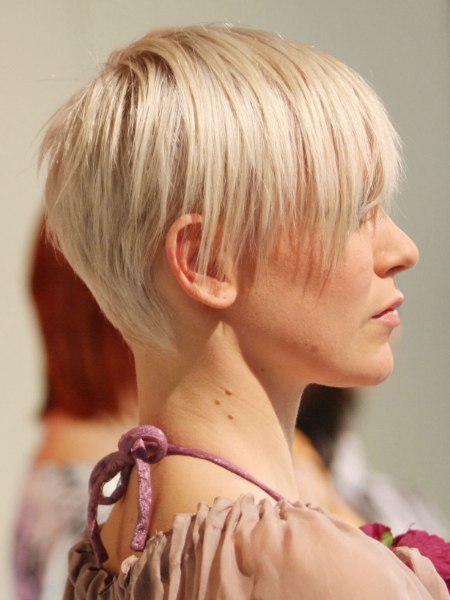 Flattering and gamine short hairstyle with short neck hairs