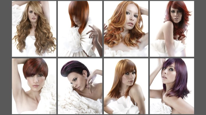 Hair fashions with smooth round lines and various shades of red hair