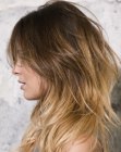 Casual hairstyle with a dark base and blonde tips