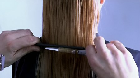 Long graduation cut - Assess the shape of the hair