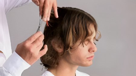 Men's haircut - Cut the interior