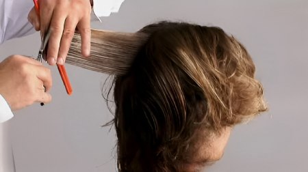 Men's haircut - Work parallel sections to the round of the head