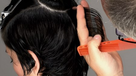 Pixie - Cut parallel sections