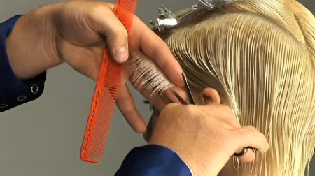 Short crop - How to begin the haircut