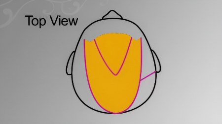 Step haircut - How to do a horseshoe section