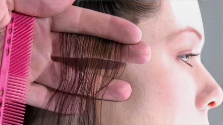 Step haircut - Begin above the ear