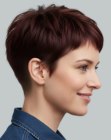 Chocolate brown pixie cut