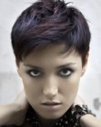 bold pixie for black hair