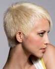 blonde hair cropped in a super short pixie