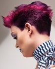 pixie with a buzz cut length nape