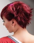 pixie style with a mussed back side