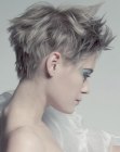 pixie for silver gray feathered hair