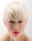 neat pixie cut with a short cropped neck