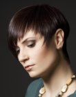 pixie cut with tapered sides