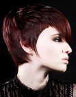 short hairstyle with a forelock