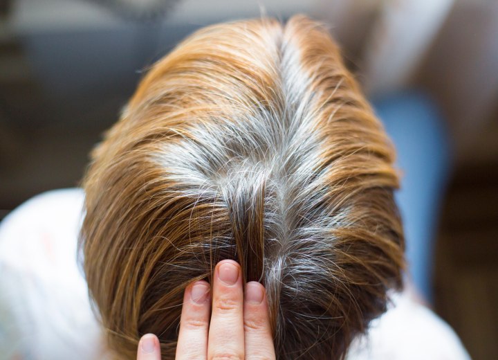 Hair with gray roots