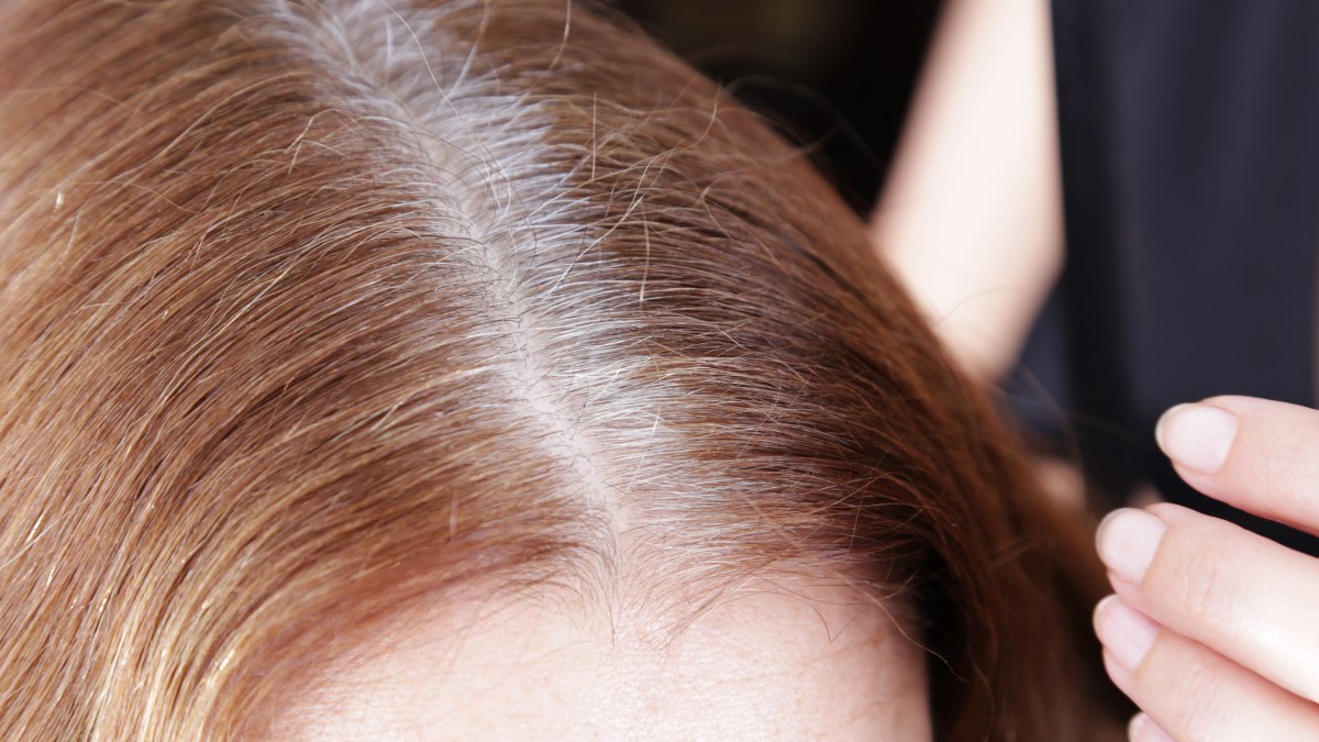 2. Blue Roots Grey Hair: Causes and Solutions - wide 7