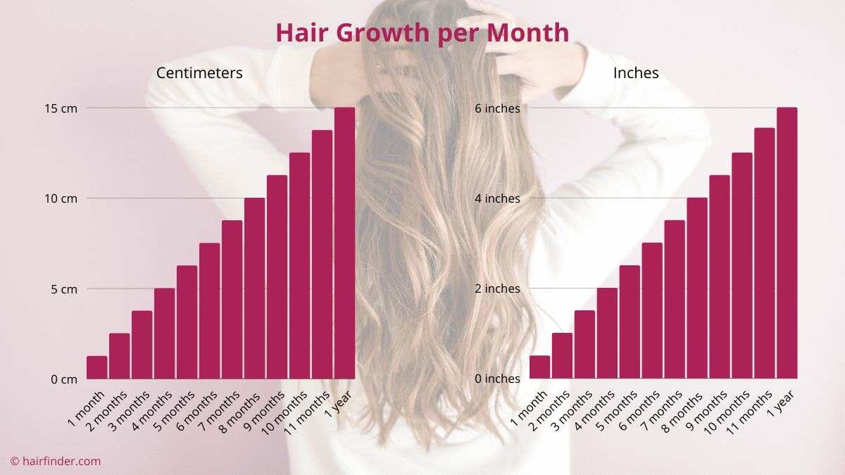 How Fast Does Hair Grow Hair Growth Per Month