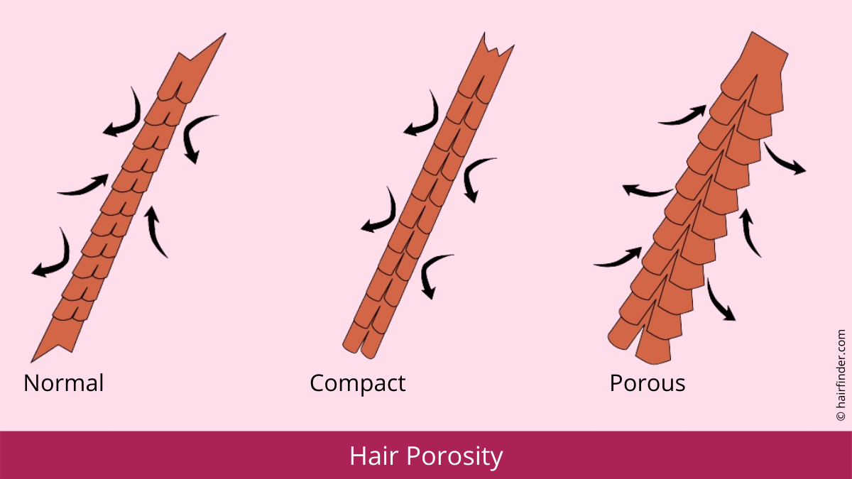 Hair porosity | How to measure the porosity of your hair