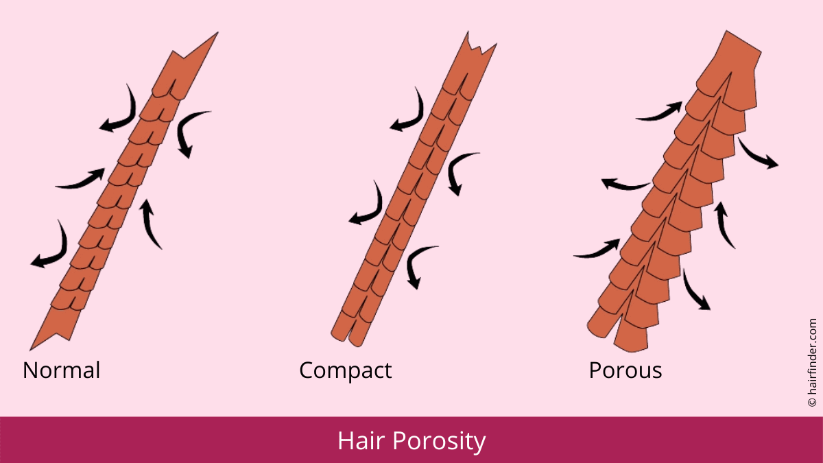 Hair Porosity Chart