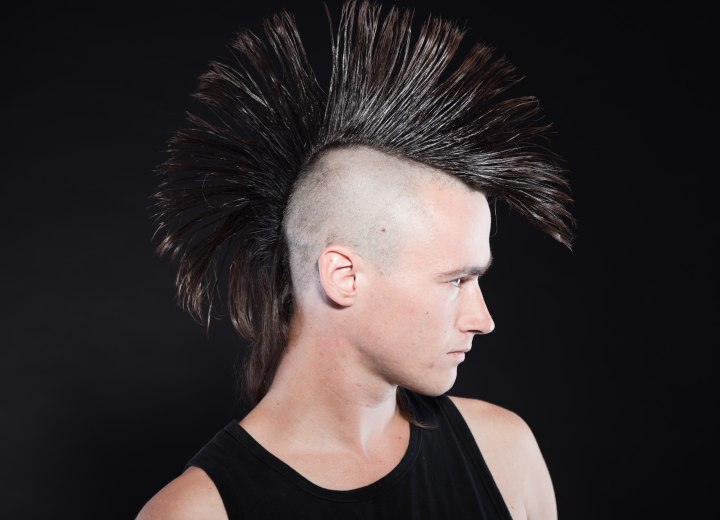 Mohawk hairstyle