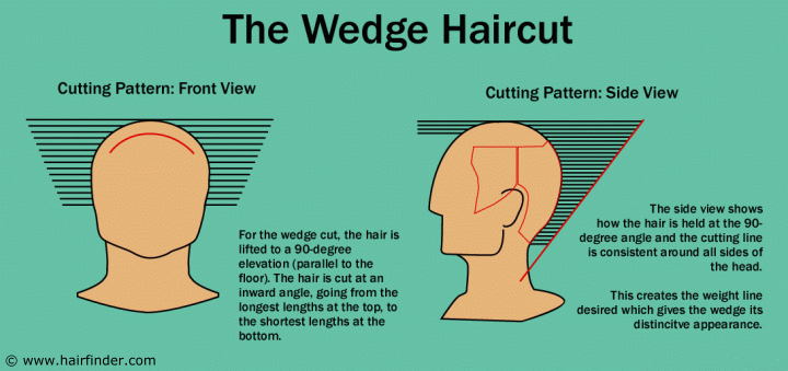 Wedge haircut how to diagram
