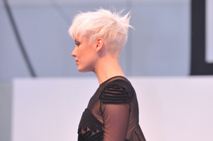 Versatile pixie cut with a buzzed nape