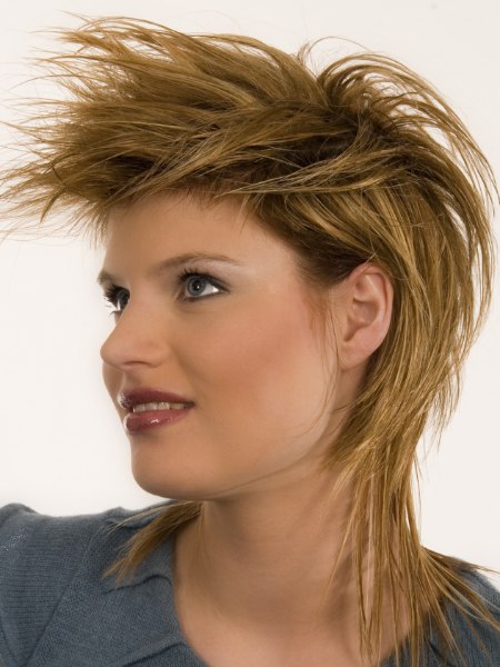 Neckline covering shag hairstyle with exposed ears