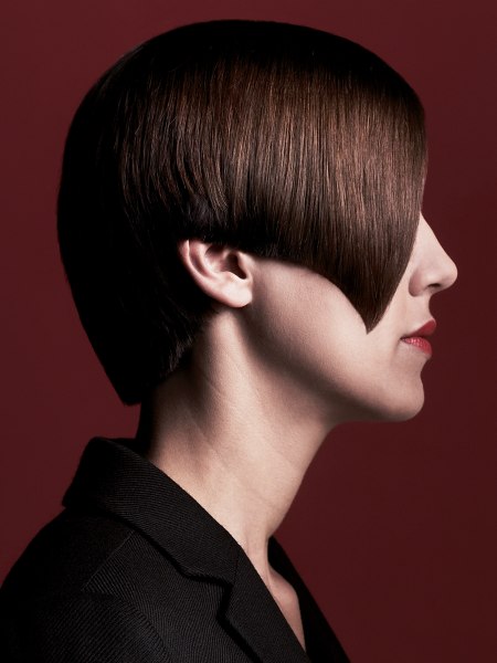 Back view of a fashionable short hairstyle