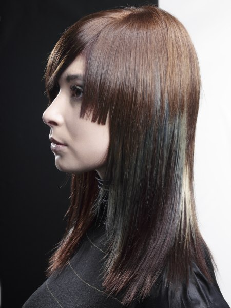 Long, straight hairstyle with layers