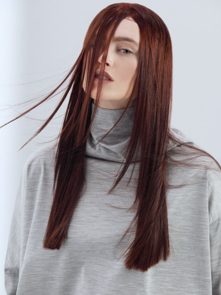 Very long and sleek brown hair