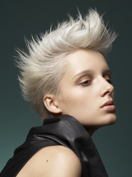 Punk inspired short hairstyle with exposed ears
