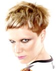 Pixie cut with buzz cut sides