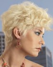 Pixie cut with a very short neck section and curls