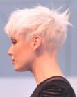 Pixie cut with an extremely short shaved neck