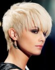 Pixie cut with choppy layers and bulk on top of the head