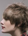 Boyish short haircut with a graduated back for women