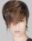 Short layered hair with much lift and a high crown