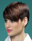 Pixie cut with buzzed sides and longer top hair