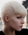 Blond pixie cut with supershort sides and neck section