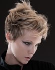 Dark blonde pixie cut with a short back and longer top hair