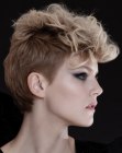 Pixie hairstyle with sleek sides and curls in the crown