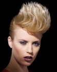 Short hairstyle with a high and spiky top