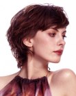 Comfortable short hairstyle with a curly neck section