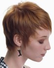 Pixie cut with gentle layers and sleek styling